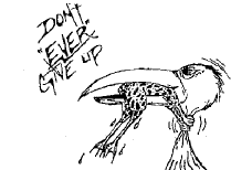 [Never give Up]