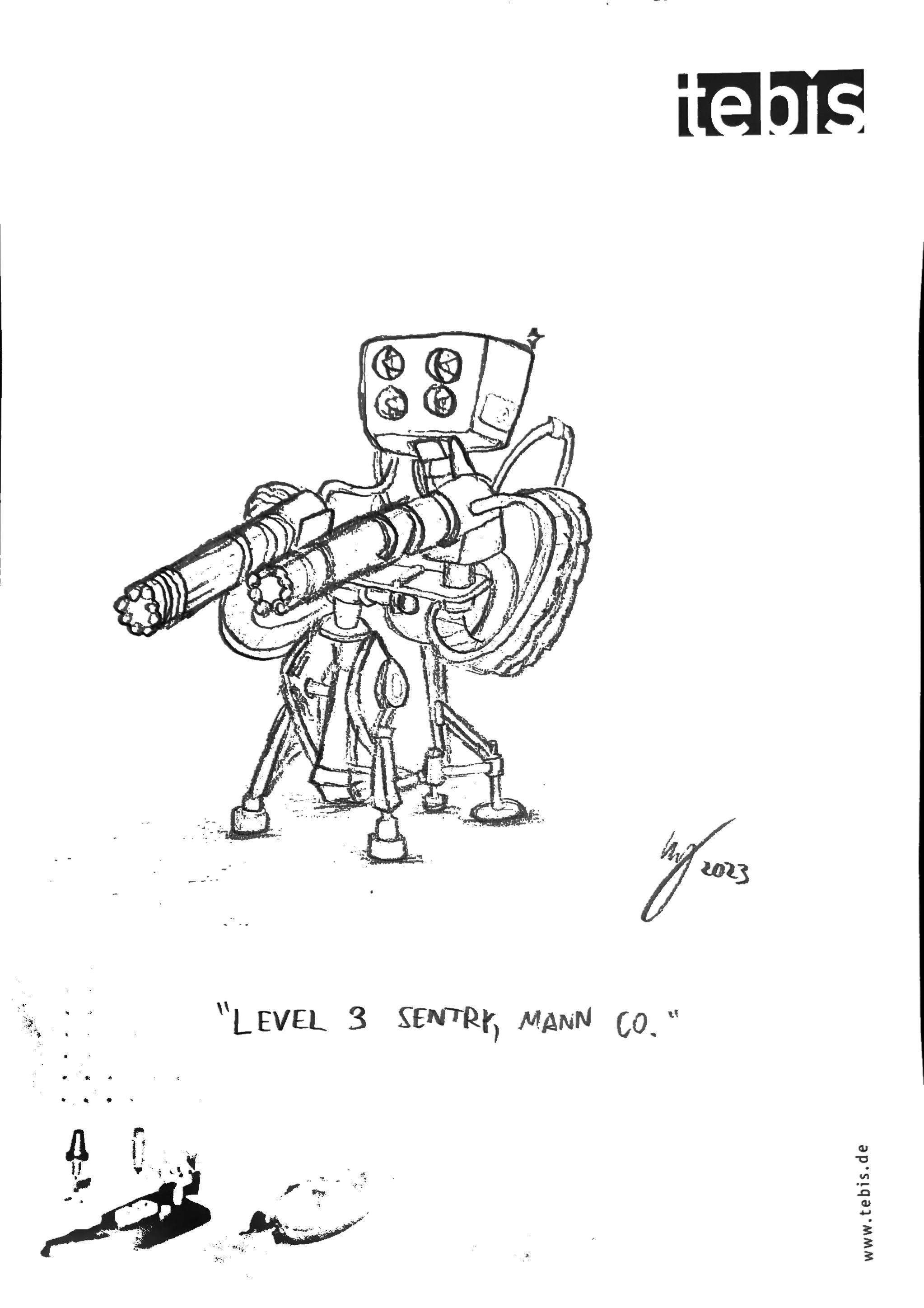 A level 3 sentry.